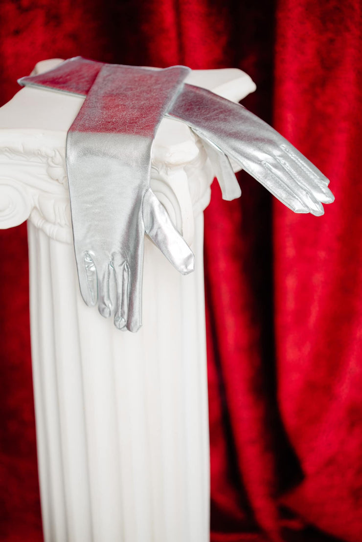 Opera Gloves (Silver)